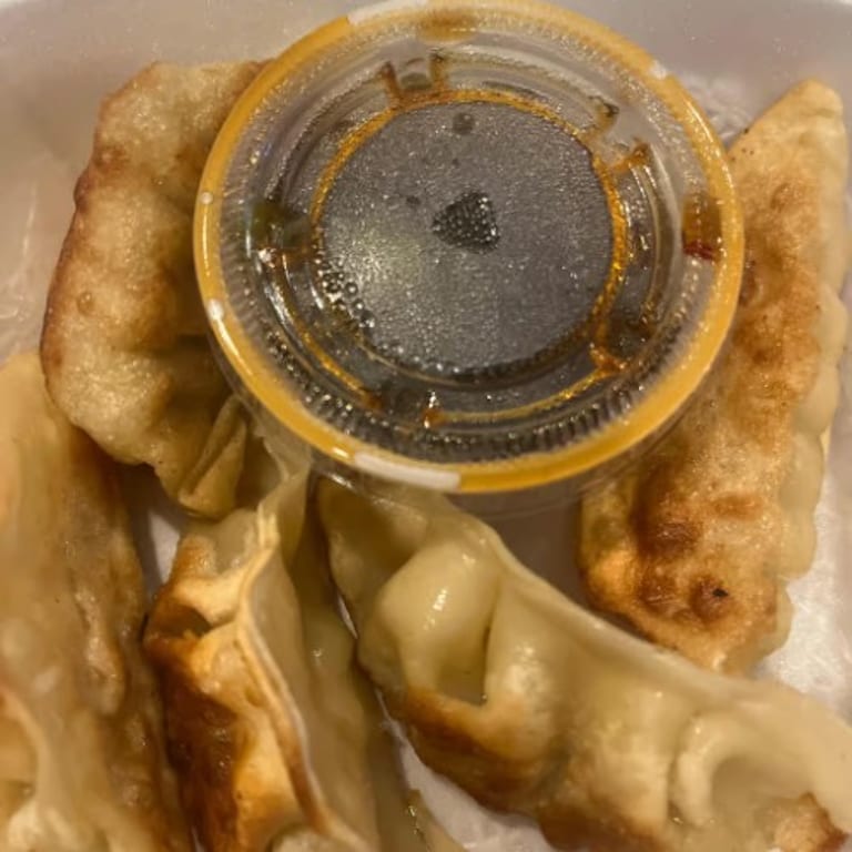 Savor Our Gyoza